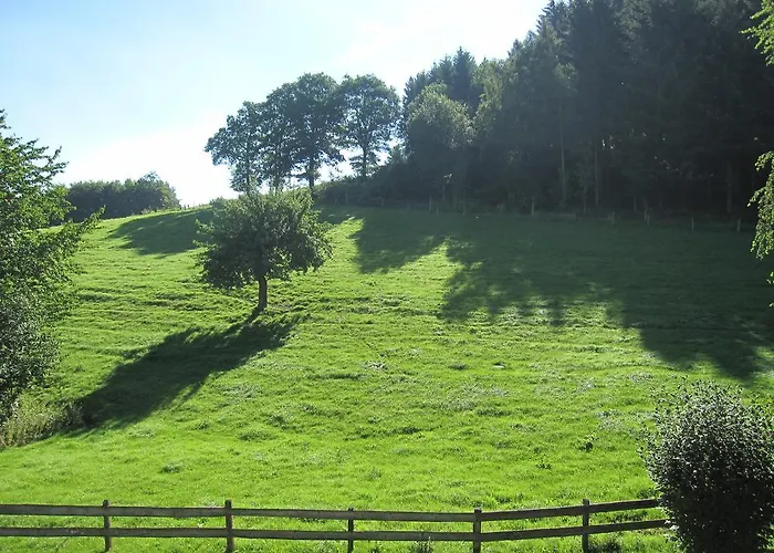 Lejlighed Hof Hesse *